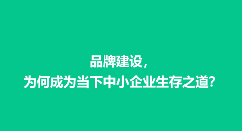 图片[2]-在当今竞争激烈的市场环境中，中小企业想要脱颖而出，做好品牌建设至关重要。