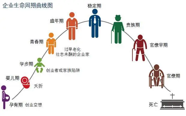 企业生命周期阶段及其管理特征-中小企实战运营与营销工作室